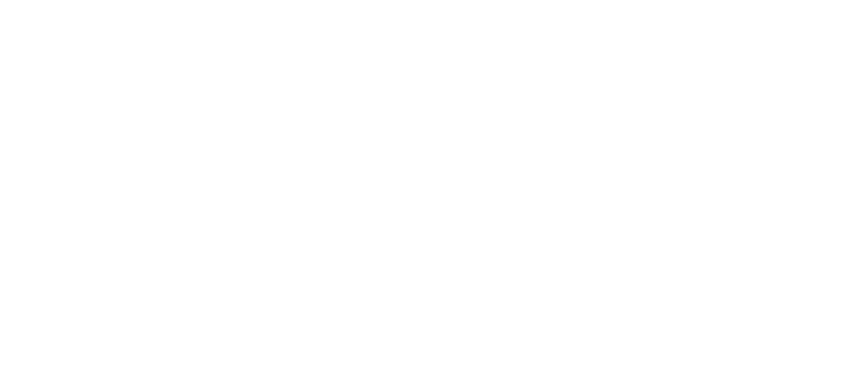 Fiebre Wear Logo